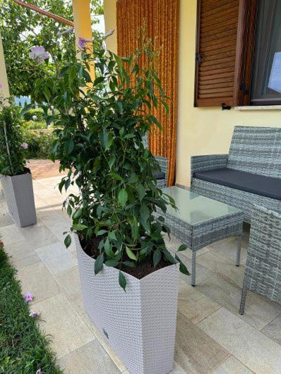 Agriturismo Il Portico Capalbio Luaran gambar